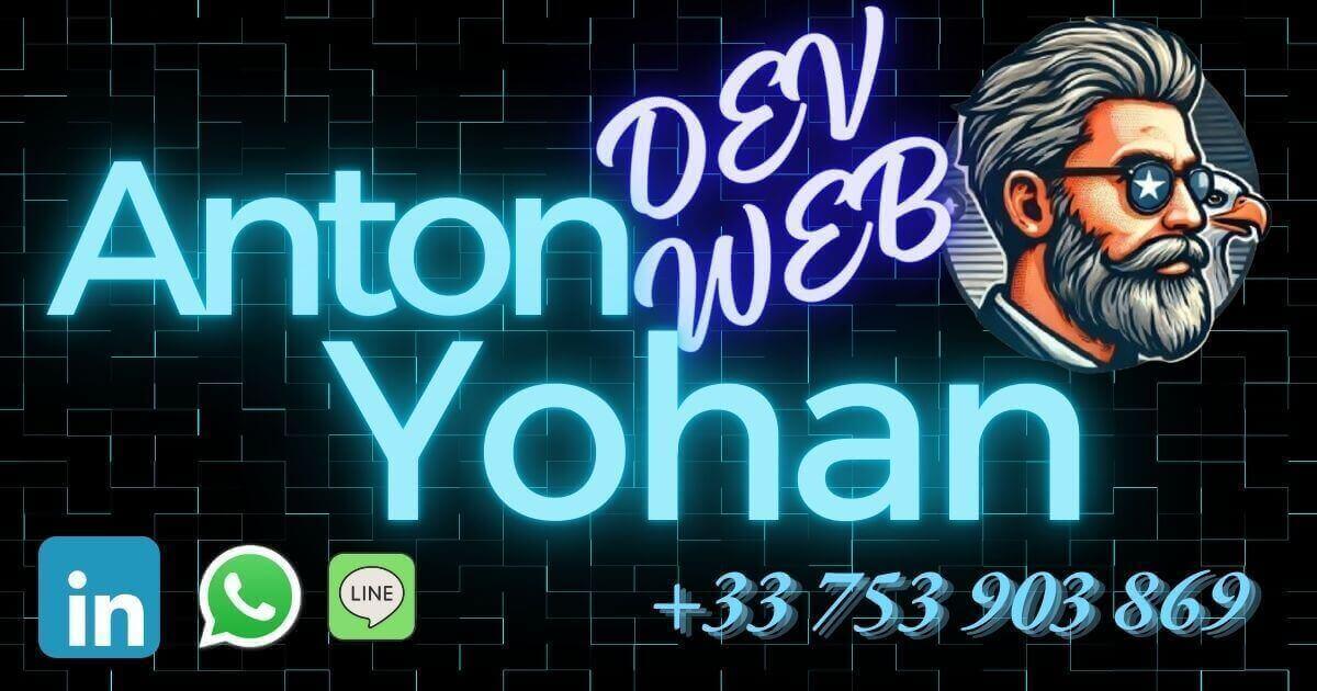 Aperçu du projet Anton Yohan